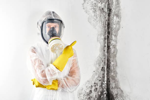 Best Commercial Mold Inspection  in Heyworth, IL