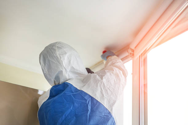 Mold Remediation for Vacation Homes in Heyworth, IL