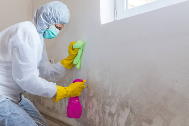 Best Industrial Mold Remediation  in Heyworth, IL