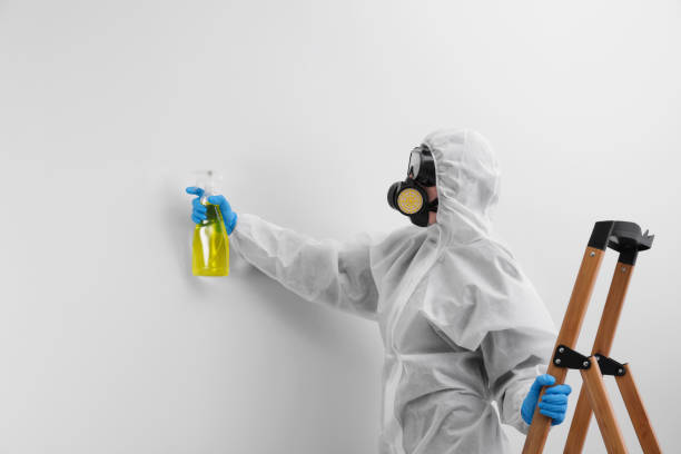 Best Emergency Mold Remediation  in Heyworth, IL